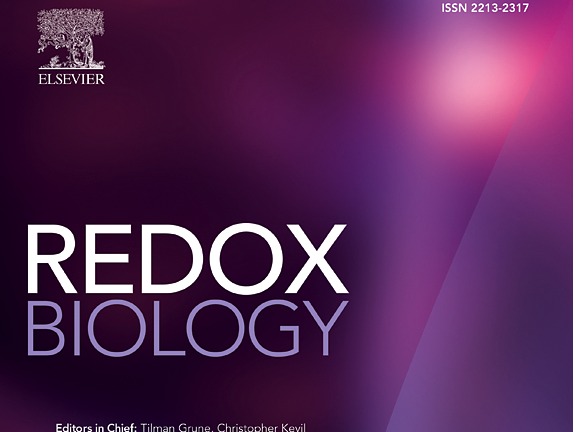 科研成果|妹妹说今天可以不用带套朱心红教授课题组在国际顶级期刊《Redox Biology》发表文章